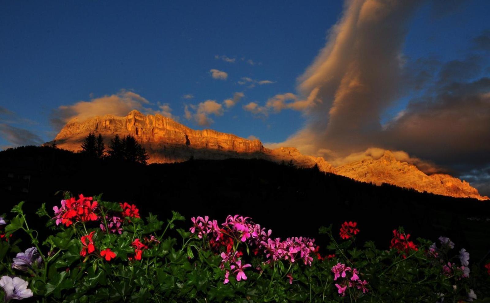 Ciasa Andy Daire Badia  Dış mekan fotoğraf